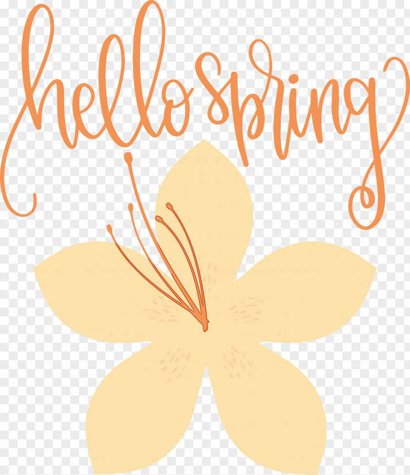 Floral Design PNG