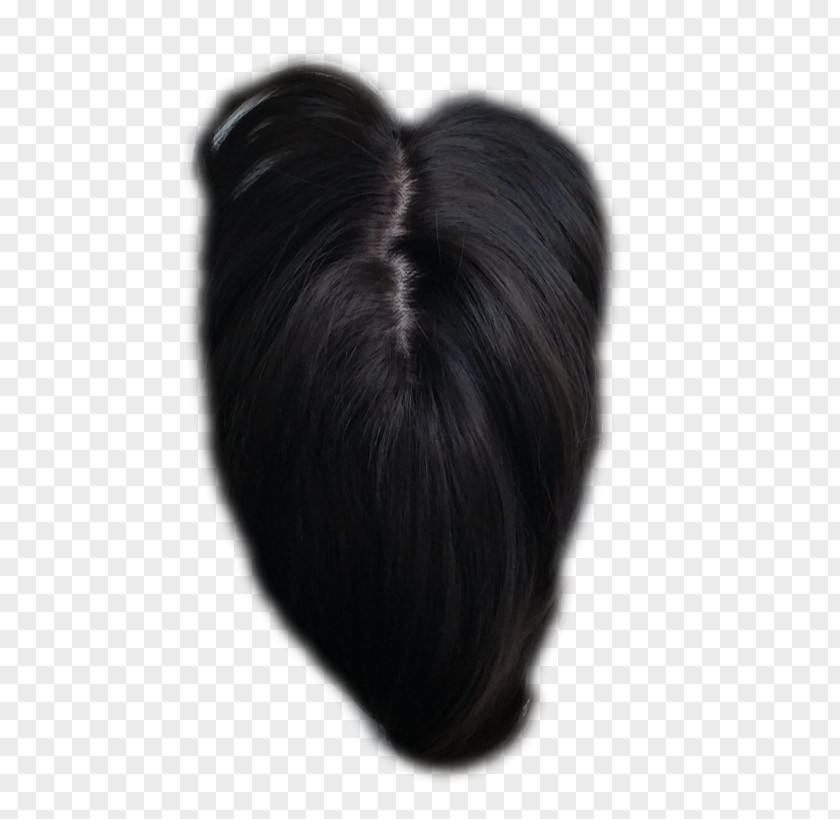 Hair Long Artificial Integrations Bangs Black PNG