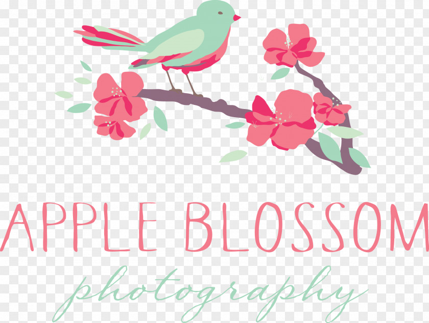Mini Session Floral Design Greeting & Note Cards Pink M Font PNG