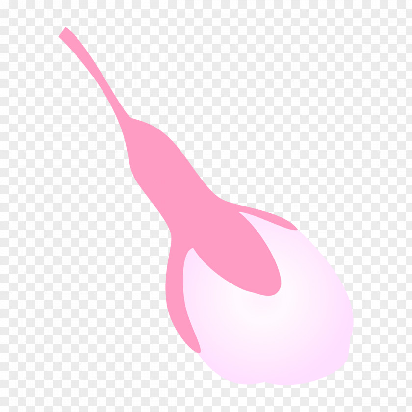 Tail Logo Pink Plant Magenta Clip Art PNG