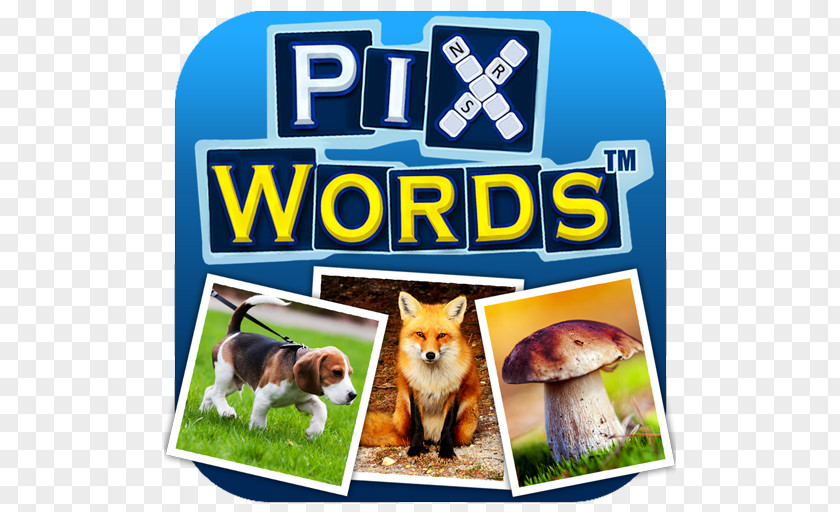 Android PixWords™ PixWords® Scenes Picture Crosswords Letter PNG