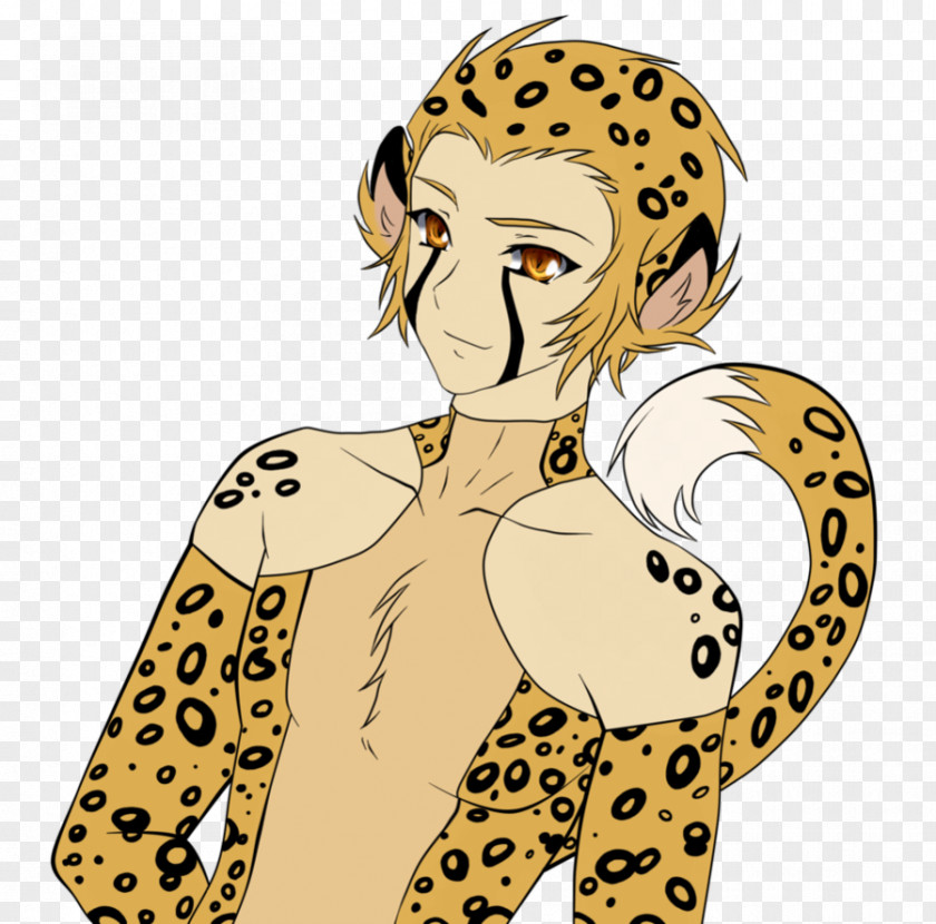 Cheetah Cat Leopard Felidae Lion PNG