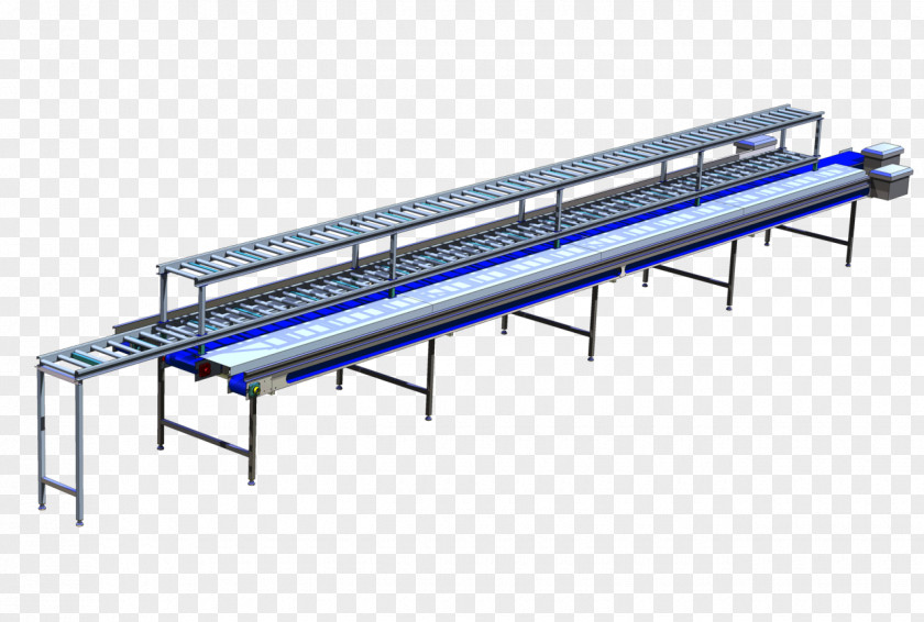 Fish Machine European Pilchard Conveyor System Can PNG
