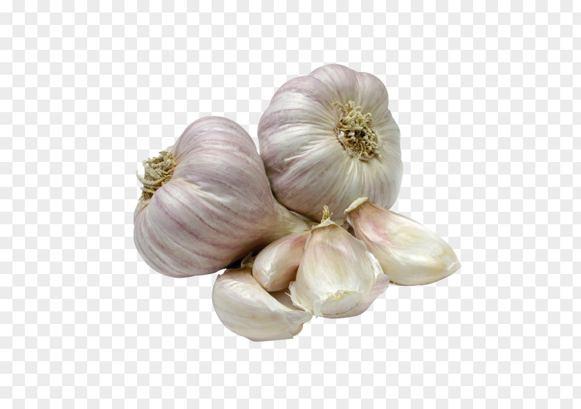 Garlic Onion Food Wholesale Spice PNG