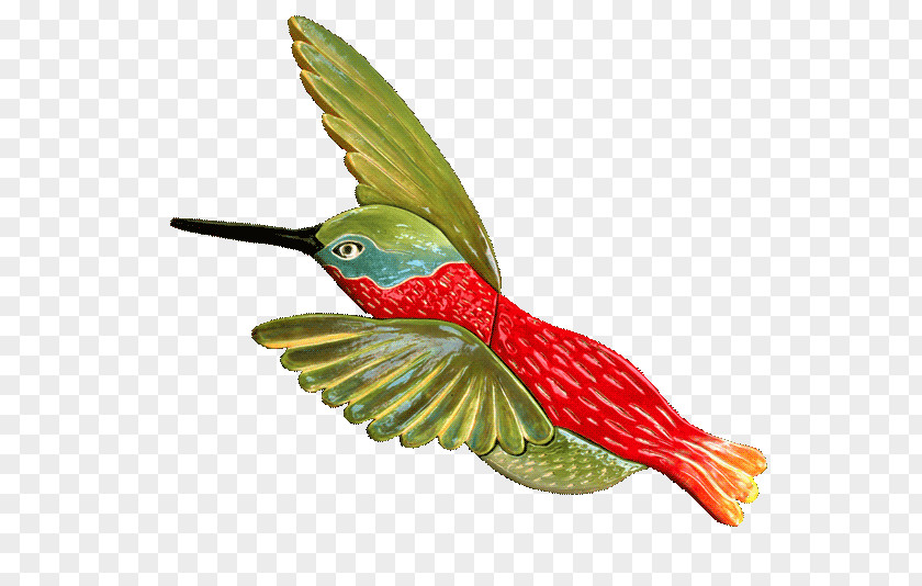 Hummingbird Ceramic Clip Art Beak Tile PNG