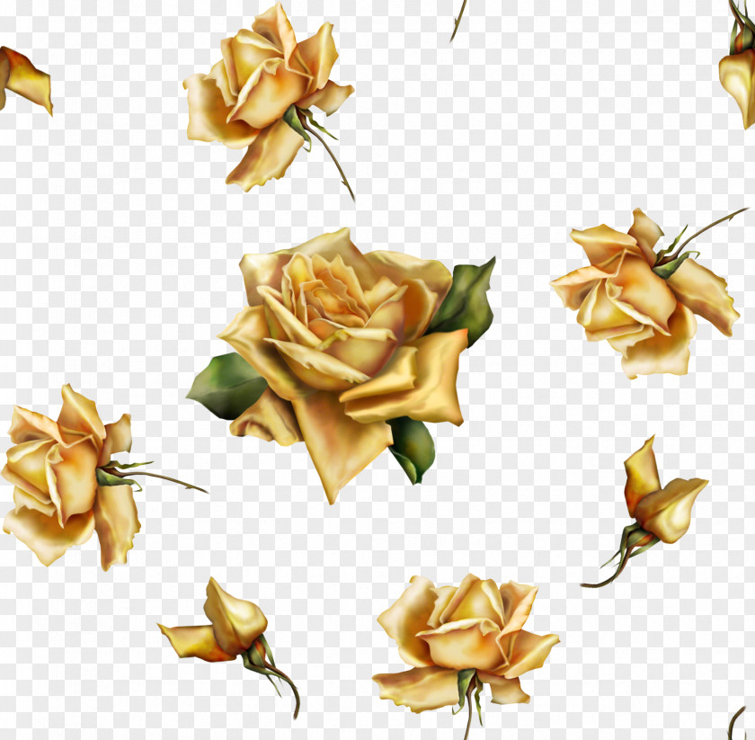 K Flower Beach Rose Gold PNG