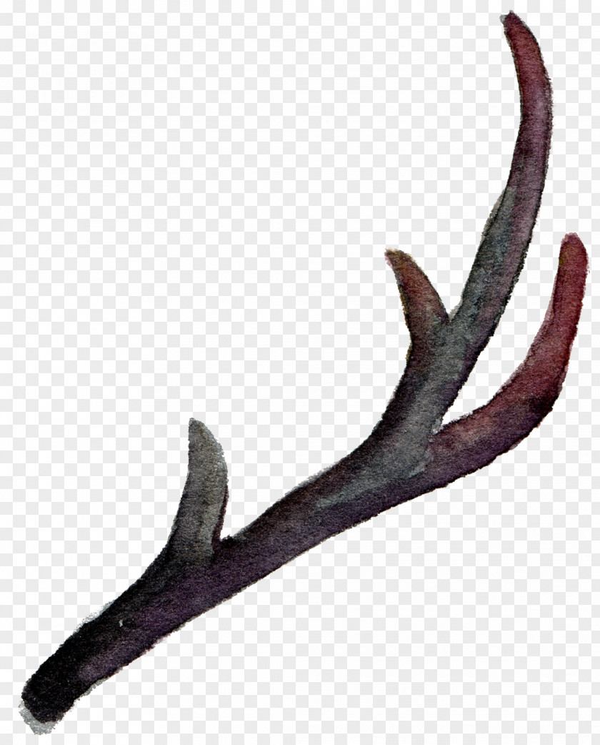 Leaves Falling Element Transparent Antler Horn Watercolor Painting PNG