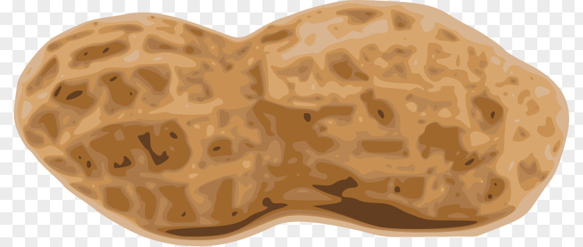 Peanut Cliparts Butter And Jelly Sandwich Allergy Clip Art PNG