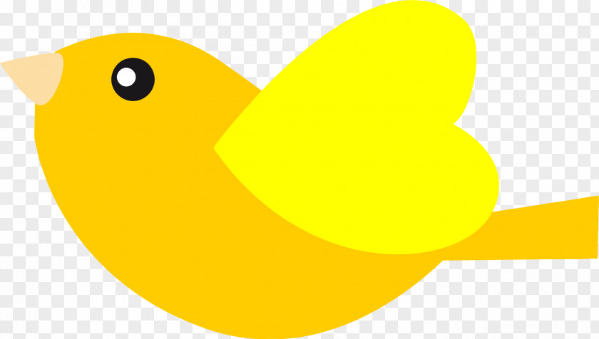 Bird Domestic Canary Clip Art PNG
