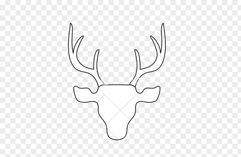 Deer Head Reindeer Vertebrate Antler Horn PNG