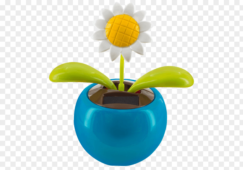 Flower Solar Energy Power Sunlight PNG