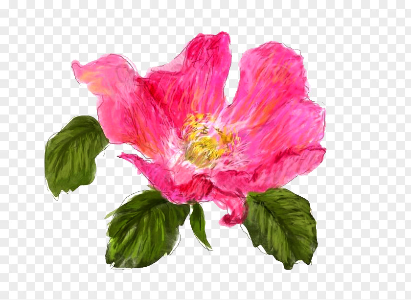 Lead Color Peony Japanese Camellia Icon PNG