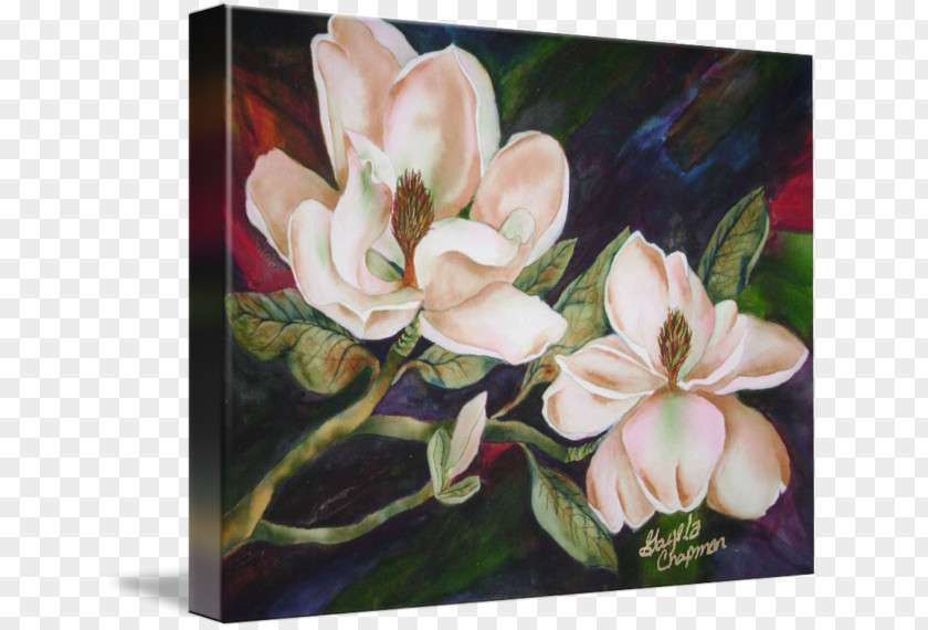 Magnolia Cut Flowers Floral Design Painting Floristry PNG
