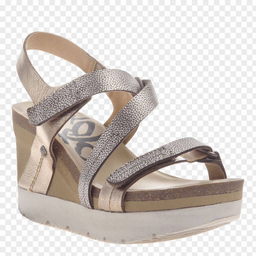 Sandal Wedge Slipper Platform Shoe PNG