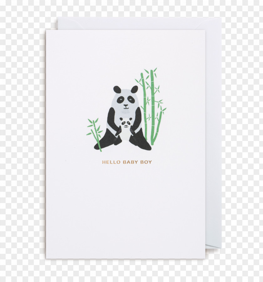 Baby Card Greeting & Note Cards Zoo Portraits Love Etsy PNG