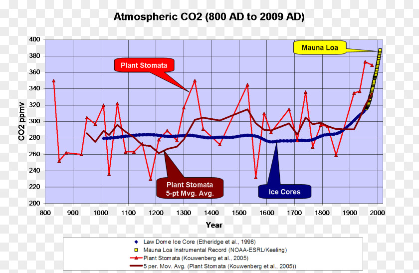 Diurnal Stoma Carbon Dioxide Ice Core Climate Change Transpiration PNG