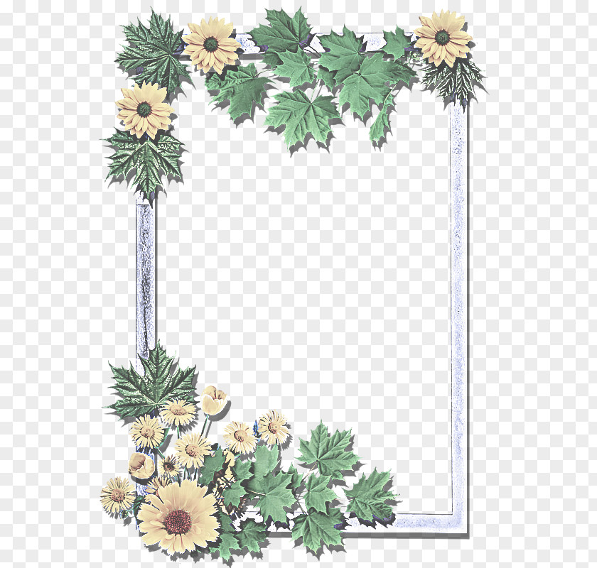 Plane Wildflower PNG