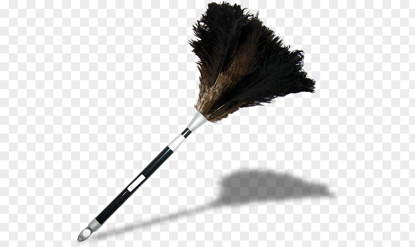 Residential Cleaning Feather Duster Cleaner Maid Housekeeping PNG