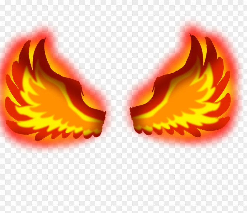 Wings Of Fire Desktop Wallpaper DeviantArt PNG