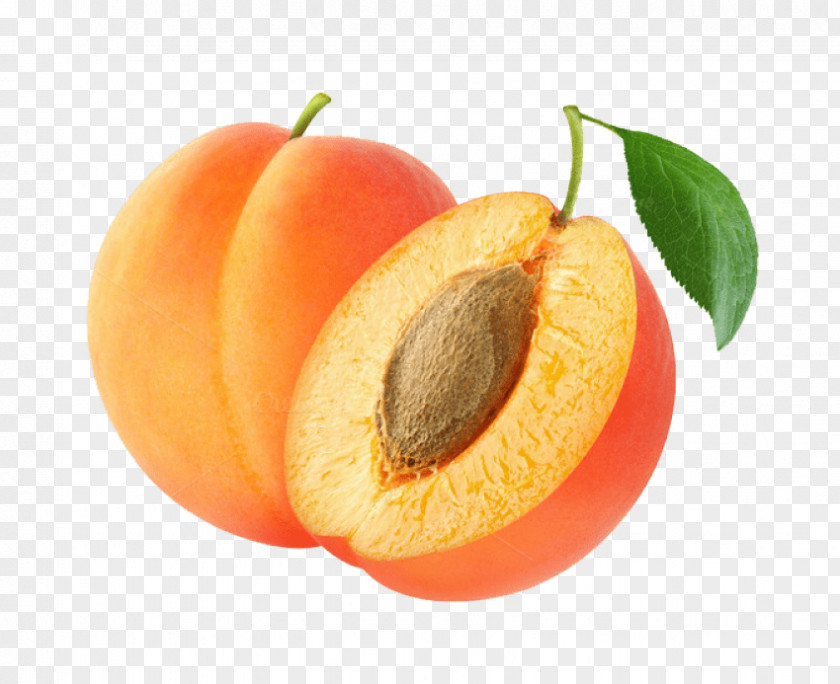 Apricot Clip Art Transparency Fruit PNG