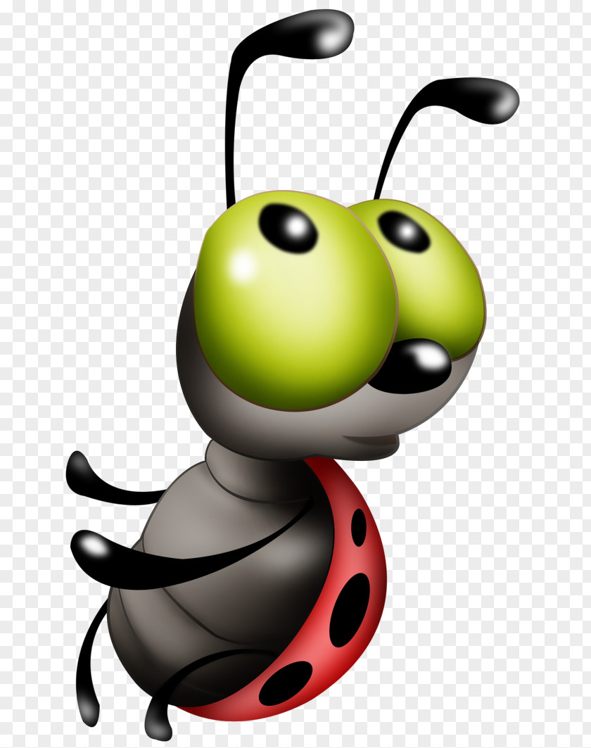 Bugs Flyer Clip Art Drawing Illustration Image Ladybird Beetle PNG