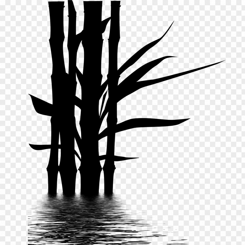 Clip Art Bamboo Illustration Drawing PNG