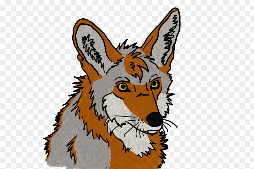 Coyote Red Fox Whiskers Fauna Clip Art PNG