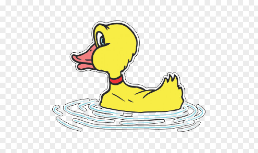 Duck Mallard Clip Art PNG