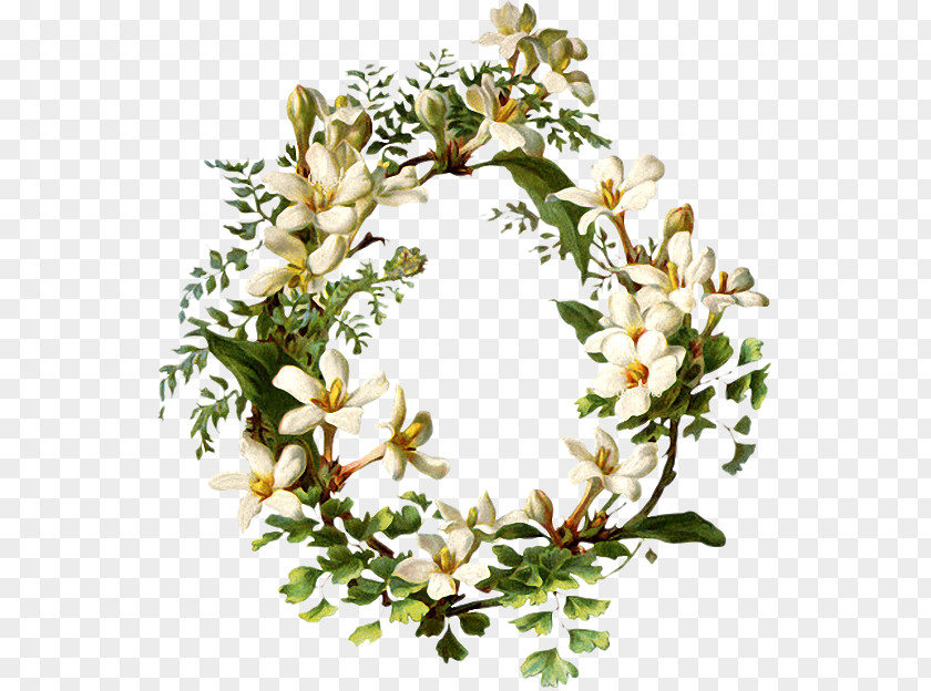 Flower Wreath Floral Design Clip Art PNG