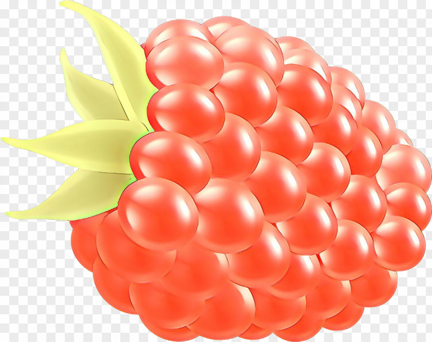 Food Plant Pink Berry Balloon Fruit Seedless PNG
