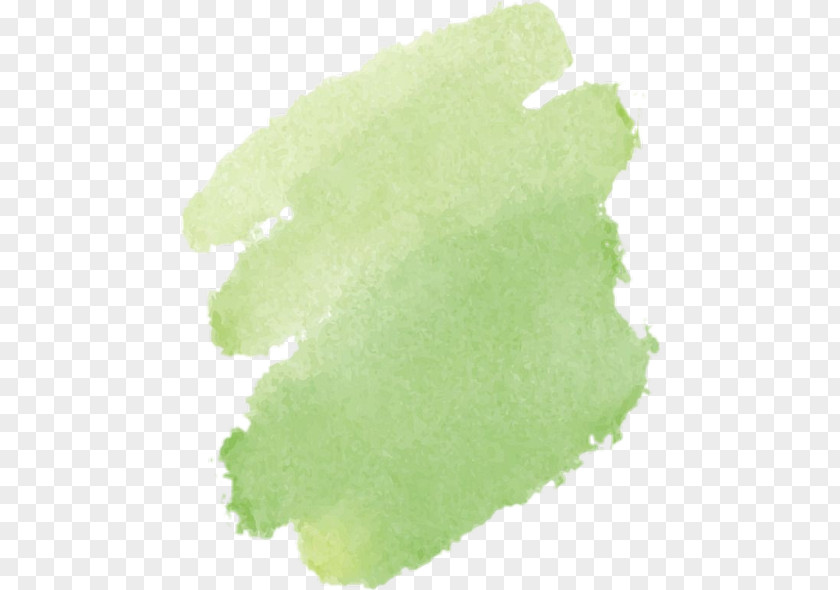 Paint Leaf Green Background PNG