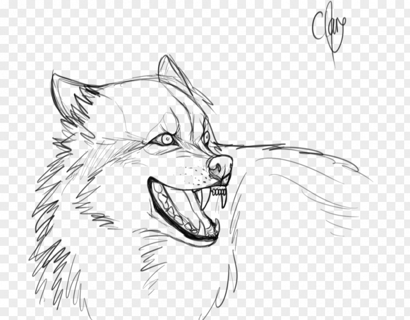 Painting Gray Wolf Snout Line Art Drawing Sketch PNG