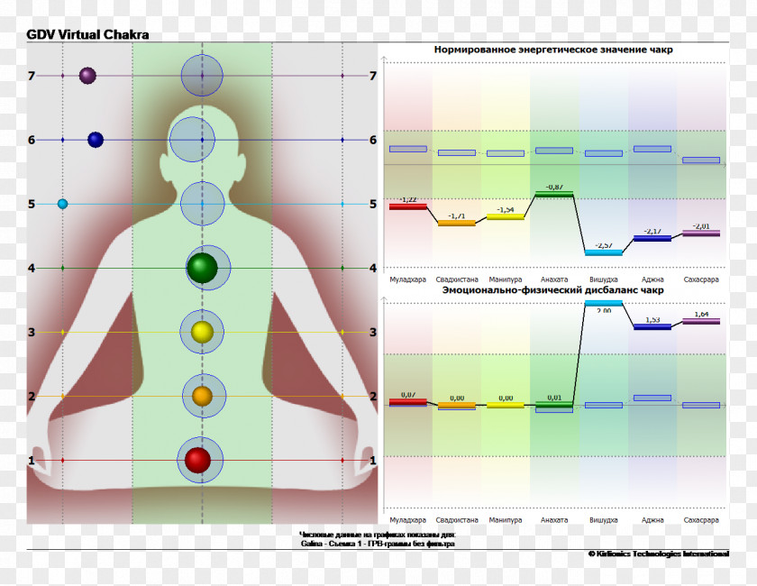 Sudarshan Chakra Aura Nadi Bioenergetics Energy PNG