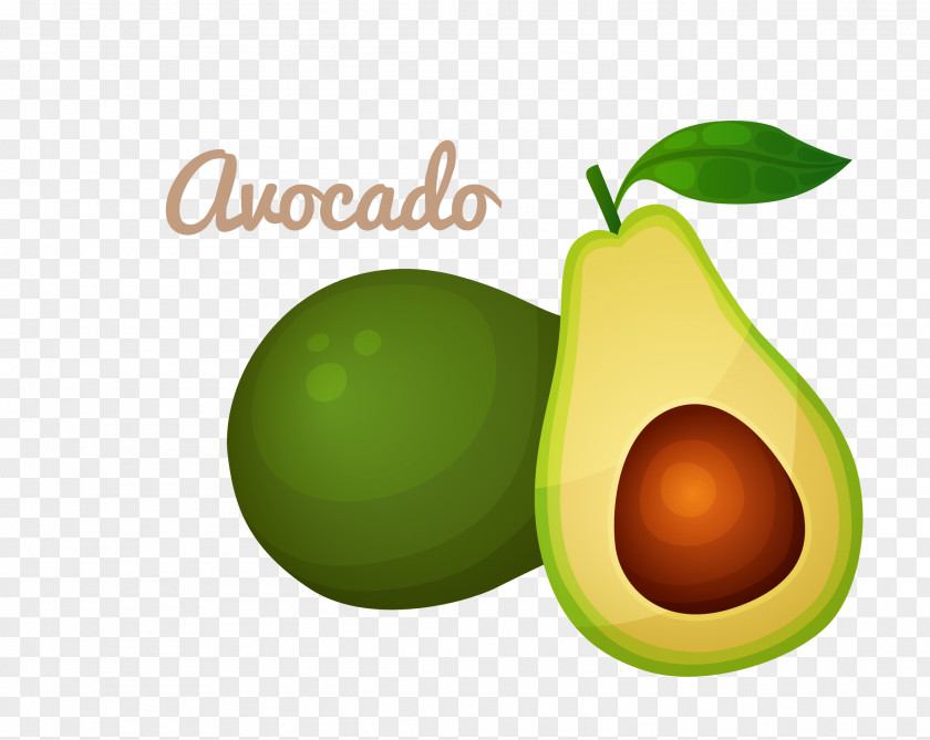 Vector Avocado Oil Food Clip Art PNG