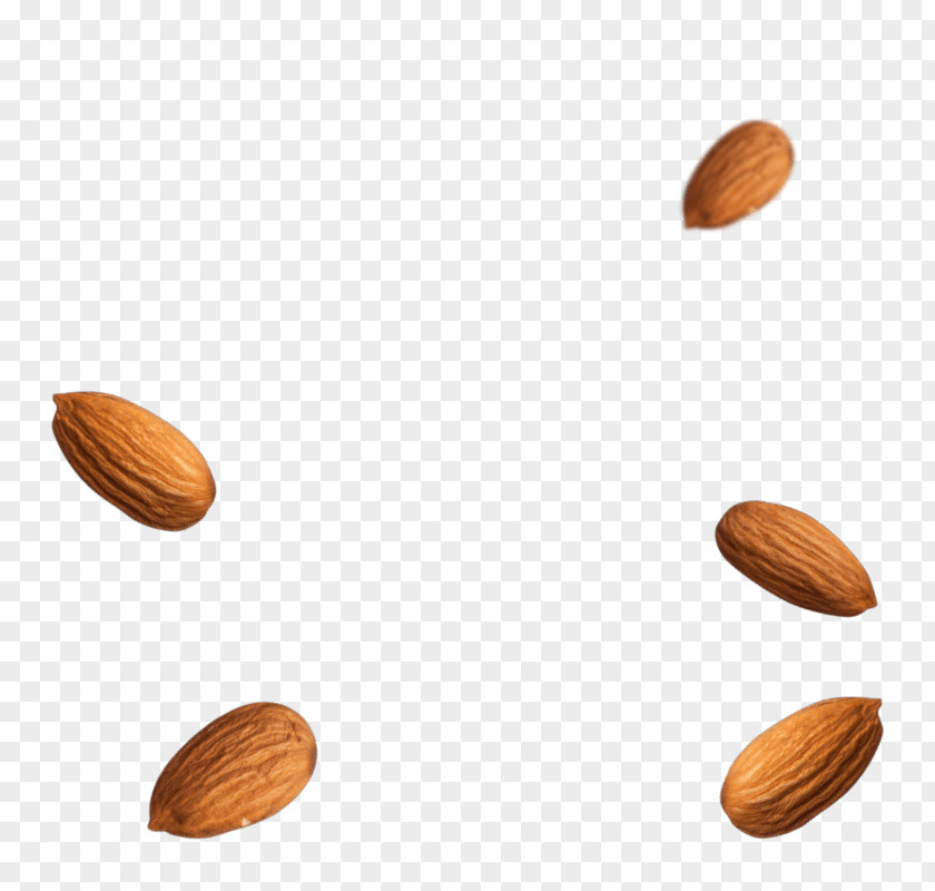 Almonds Nut Superfood Seed PNG