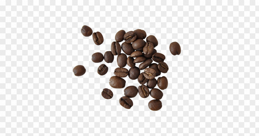 Coffe Been Coffee Roasting Cafe Woods Espresso PNG