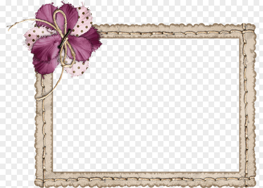 Design Picture Frames Cut Flowers Floral PNG