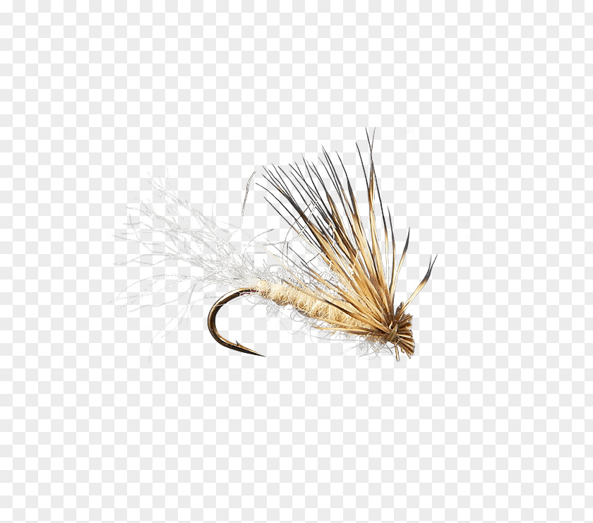 Dry Flies Insect Fly Caddisflies Holly Product PNG