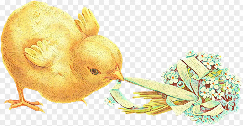 Easter Postcard Rabbit Illustration Image PNG