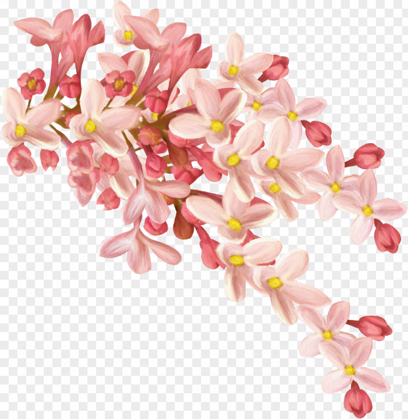 Lilac Osmanthus Cake Flower Clip Art PNG