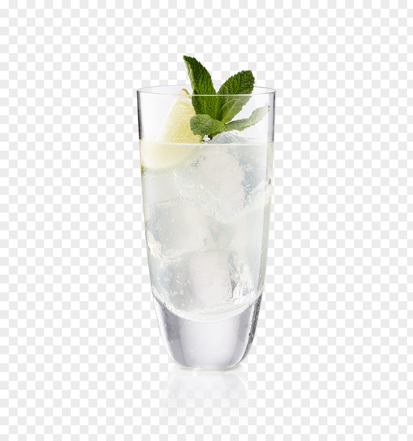 Mojito Rickey Vodka Tonic Gin And Cocktail Garnish Water PNG
