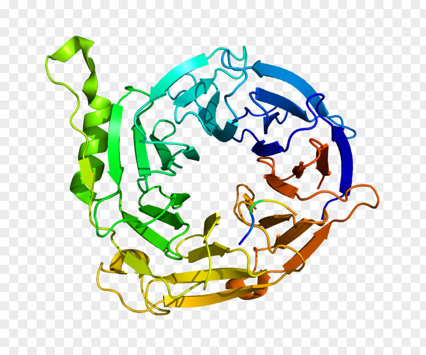 Protein Complex EED Polycomb-group Proteins Peptide PNG