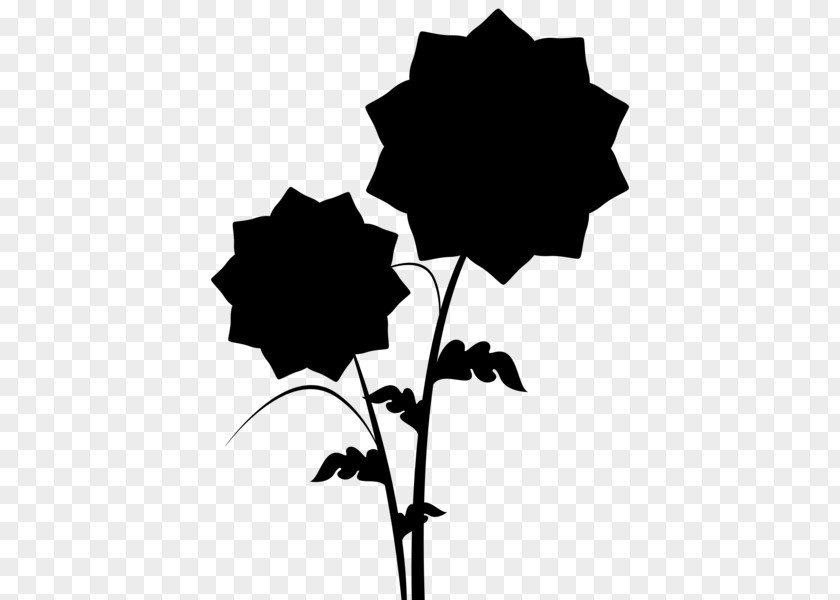 Rose Family Plant Stem Flower Leaf PNG