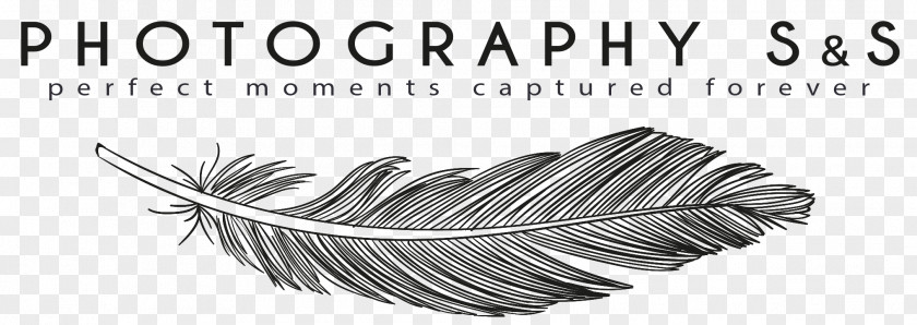 Wedding Logo Tolyatti Responsive Web Design Photography Photographer PNG