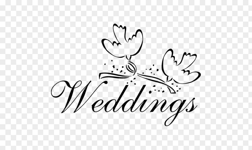 Wedding Photo Floral Craft For Weddings Mammal Clip Art PNG