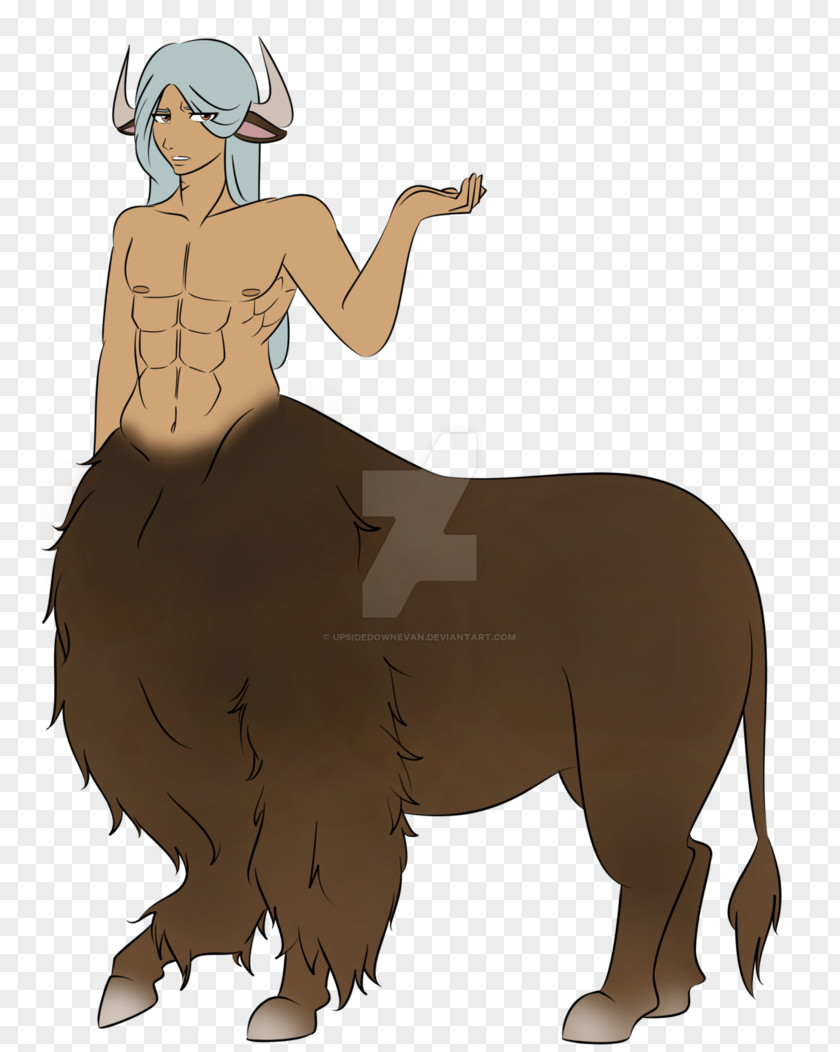 Bison Dog Horse Mammal Cattle Animal PNG