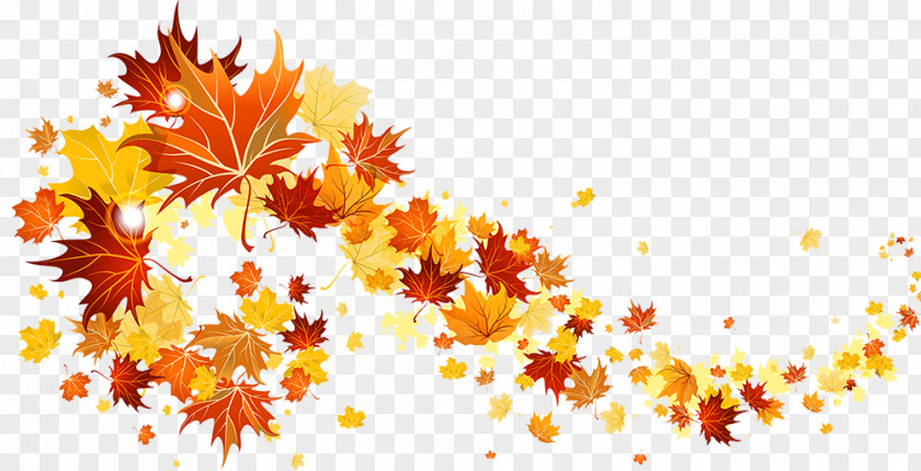 Fall Autumn Leaf Color Desktop Wallpaper Clip Art PNG