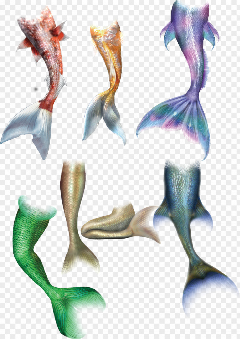 Mermaid Tail Drawing PNG