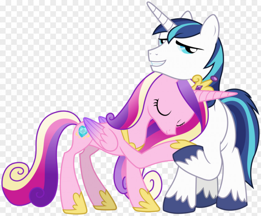 Season 5 Winged UnicornShinyign; Vector Princess Cadance My Little Pony: Friendship Is Magic PNG
