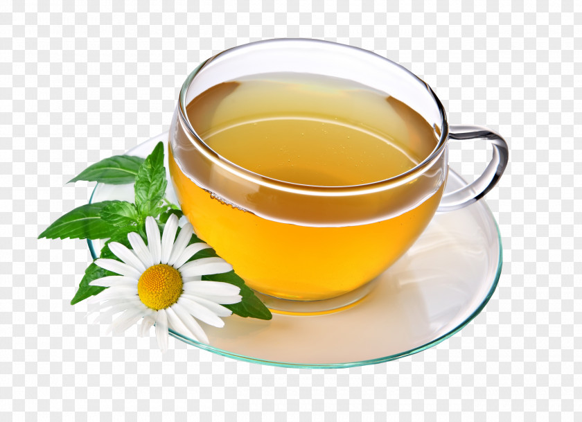 Tea Pic Green Herbal Drink PNG